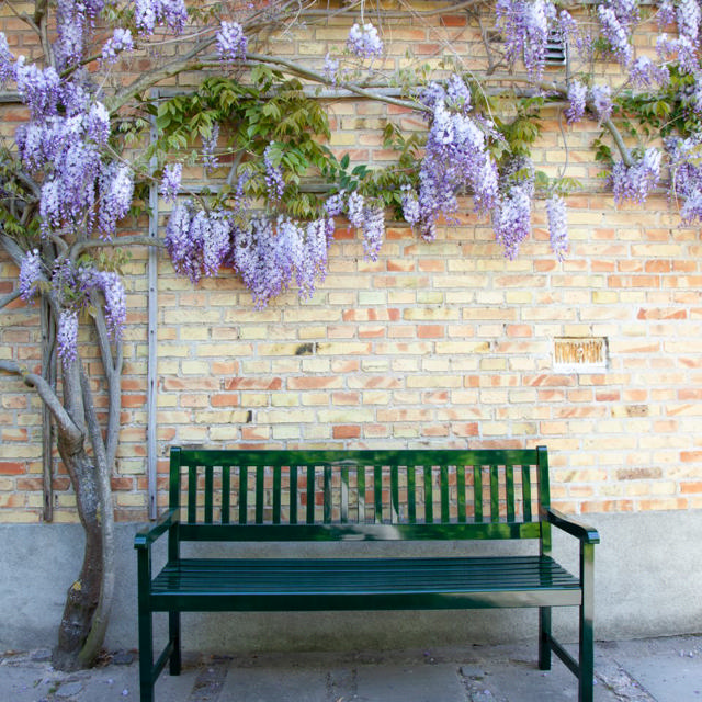 Brighton bænk tre-personers - grøn 