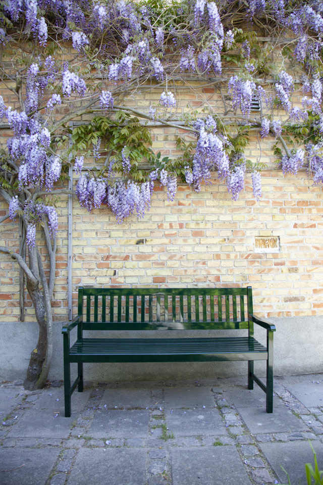 Brighton bænk tre-personers - grøn 